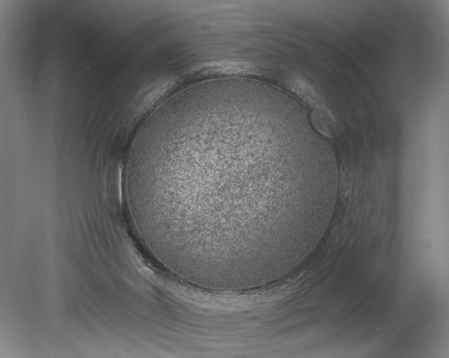 X0000078230014200611101021