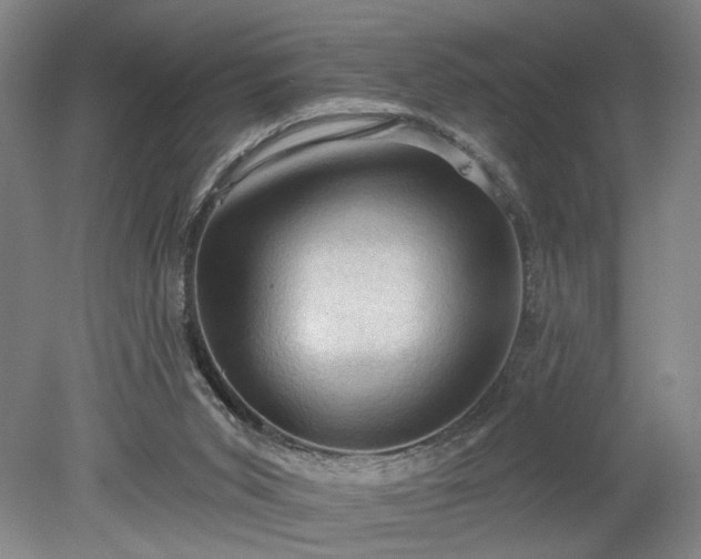 X0000078230015200611101021