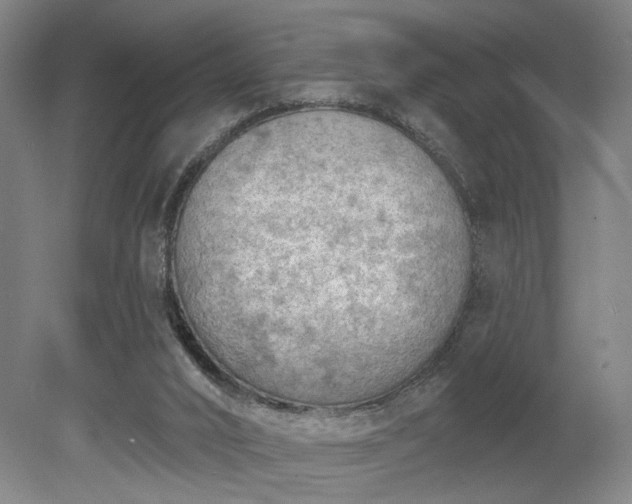 X0000078230016200611101021