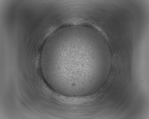 X0000078230018200611101021