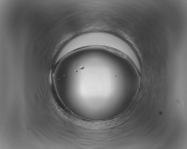 X0000078230019200611101021