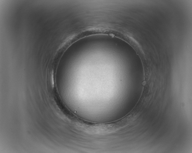 X0000078230020200611101021