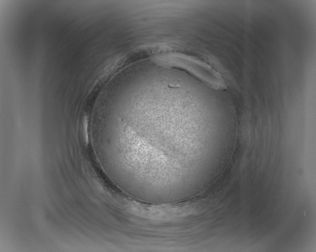 X0000078230022200611101021