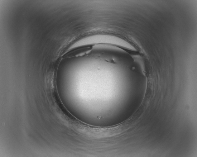 X0000078230023200611101021