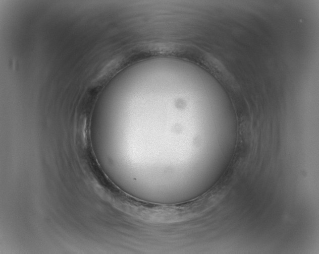 X0000078230024200611101021