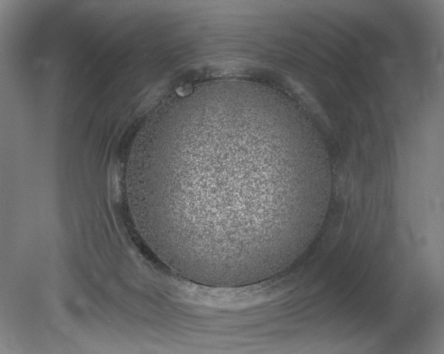 X0000078230026200611101021