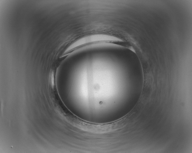 X0000078230027200611101021