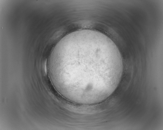 X0000078230028200611101021