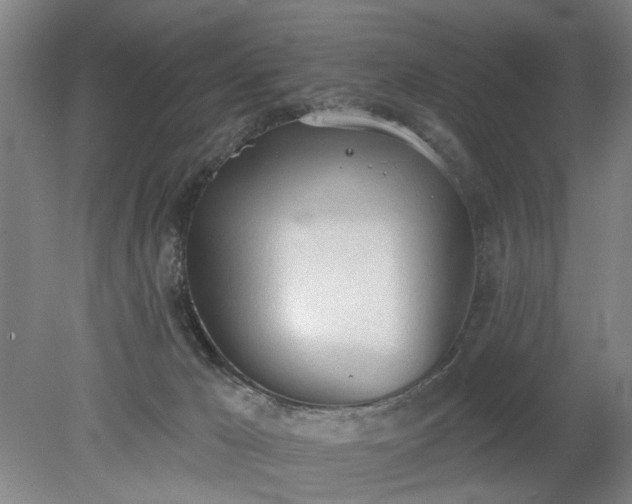 X0000078230029200611101021