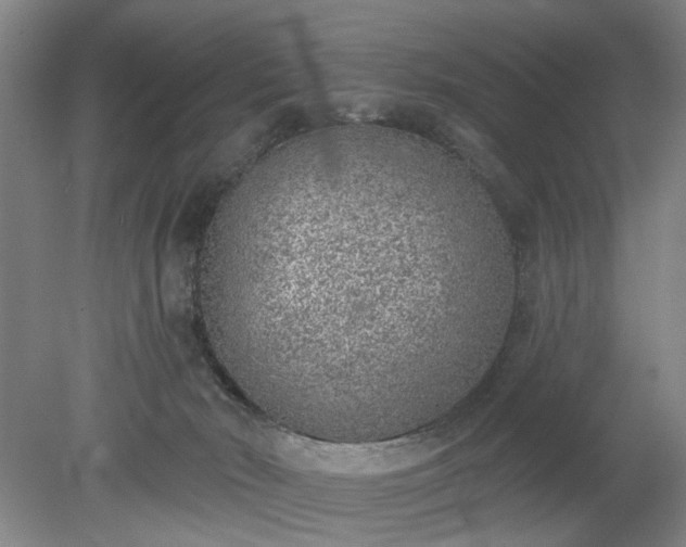 X0000078230030200611101021