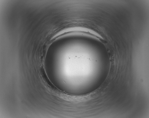 X0000078230031200611101021