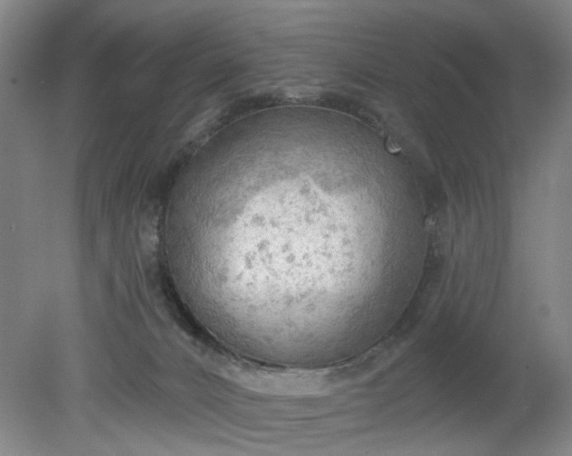 X0000078230032200611101021