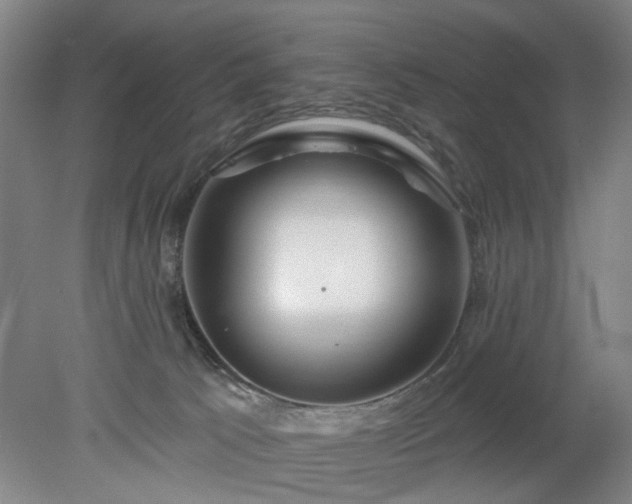 X0000078230033200611101021