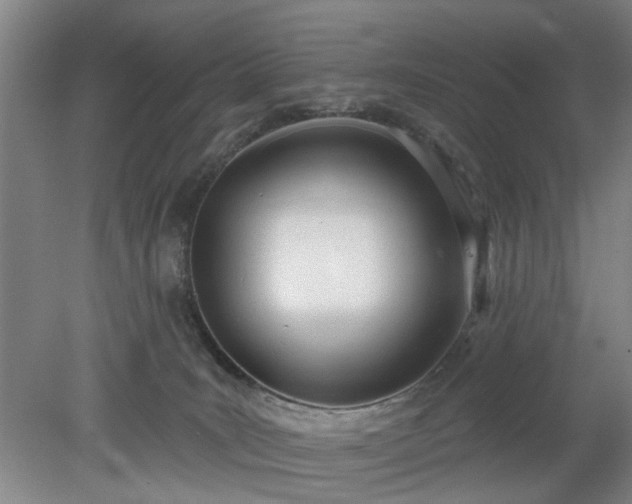 X0000078230035200611101021