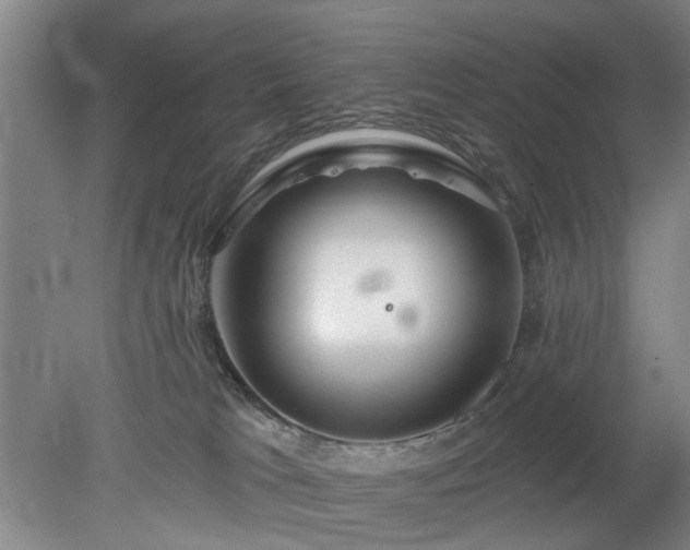 X0000078230037200611101021