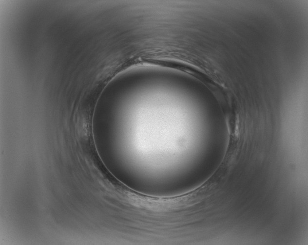 X0000078230039200611101021