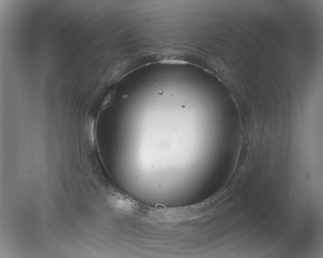 X0000078230041200611101021