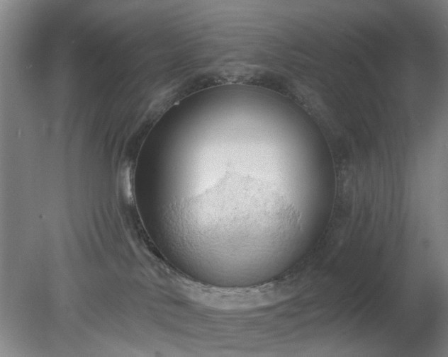 X0000078230042200611101021