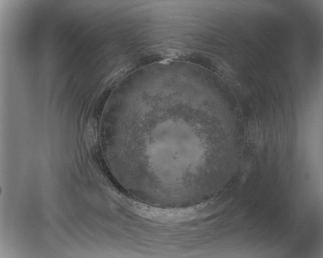 X0000078230043200611101021