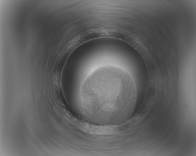 X0000078230044200611101021