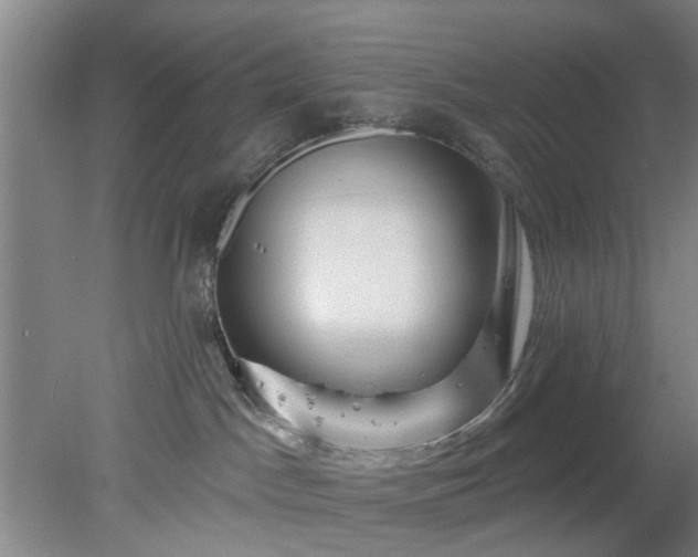 X0000078230045200611101021