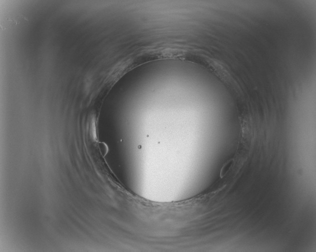 X0000078230046200611101021