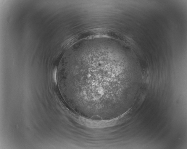 X0000078230047200611101021