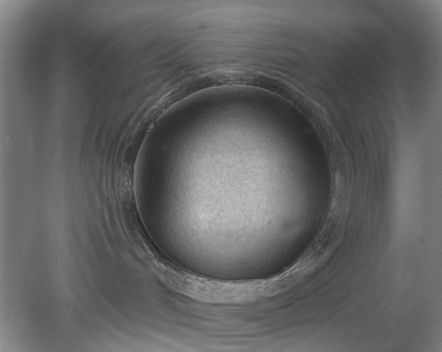 X0000078230048200611101021