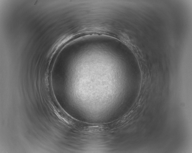 X0000078230050200611101020