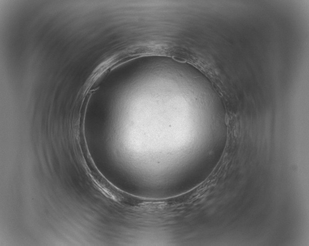 X0000078230051200611101020