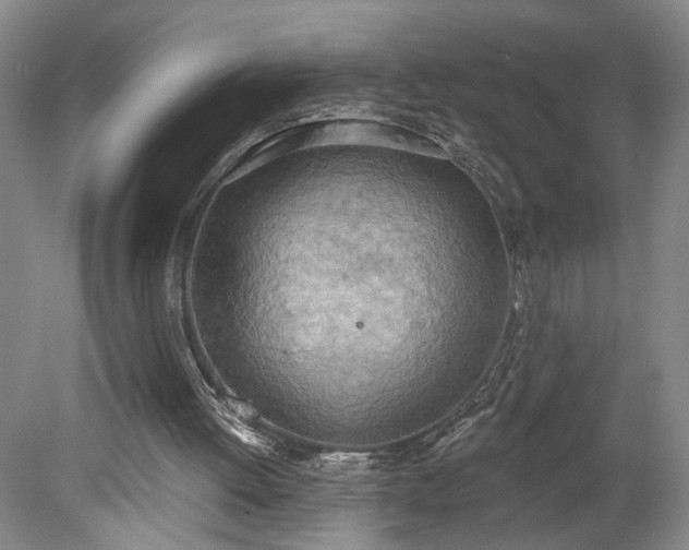 X0000078230052200611101020