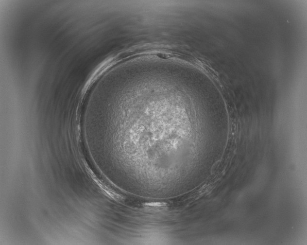 X0000078230053200611101020