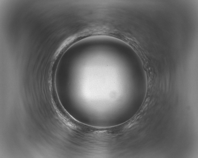 X0000078230054200611101020