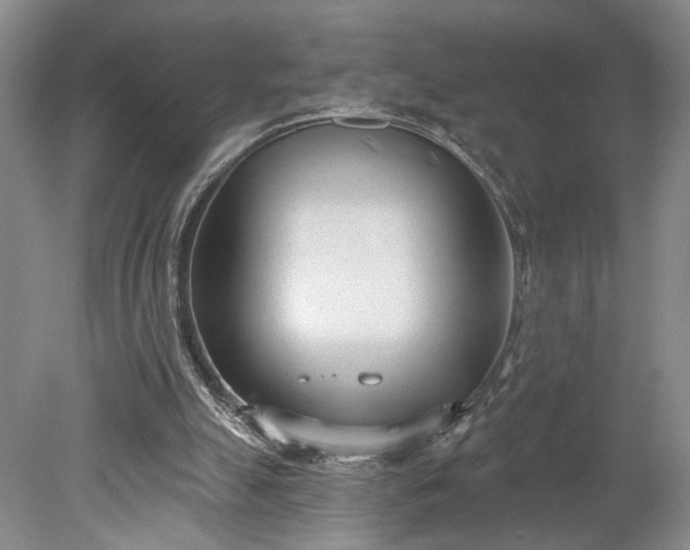 X0000078230055200611101020