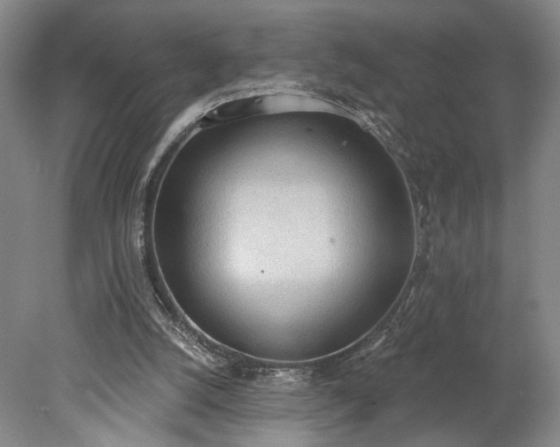 X0000078230056200611101020