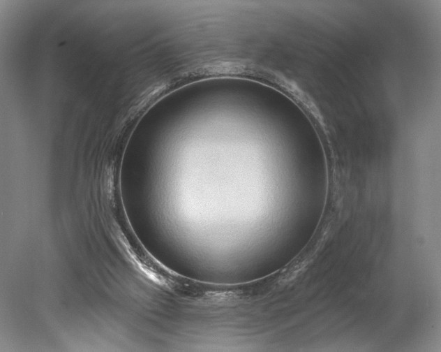 X0000078230057200611101020