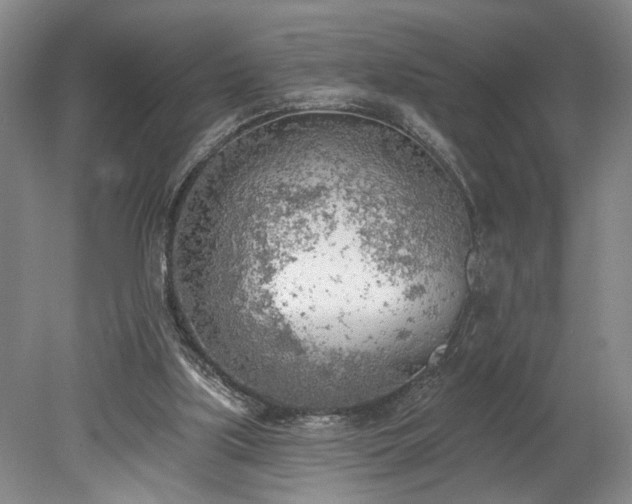 X0000078230059200611101020