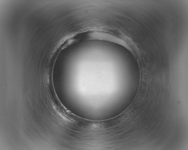 X0000078230060200611101020