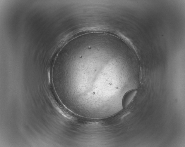 X0000078230061200611101020