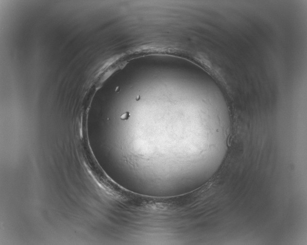 X0000078230062200611101020