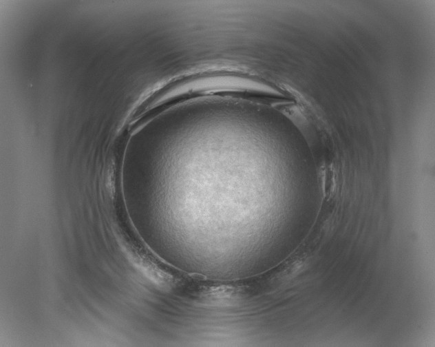 X0000078230064200611101020