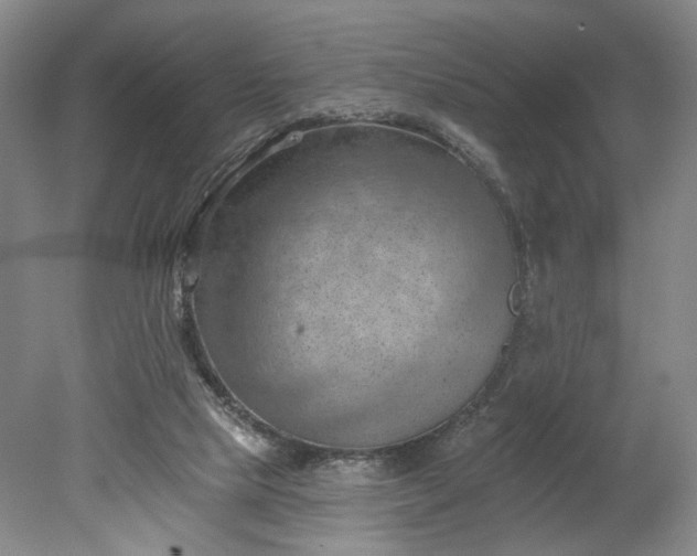 X0000078230065200611101020