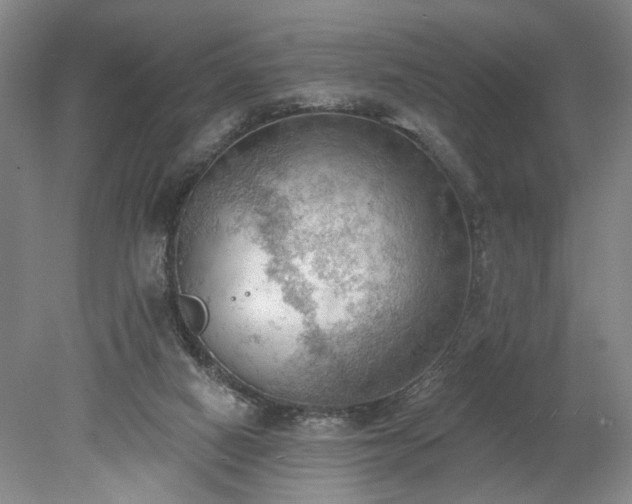 X0000078230066200611101020