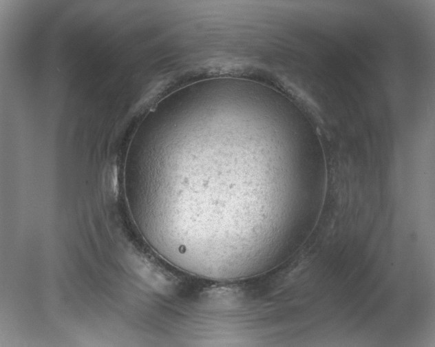 X0000078230067200611101020