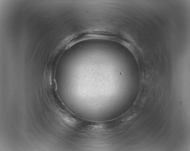 X0000078230068200611101020