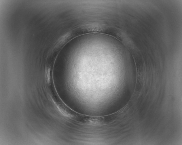 X0000078230070200611101020