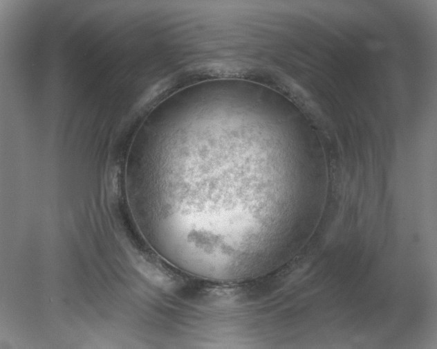 X0000078230071200611101020