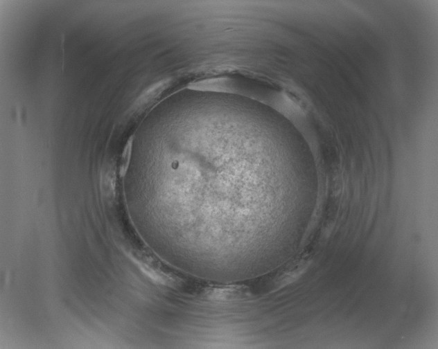 X0000078230072200611101020