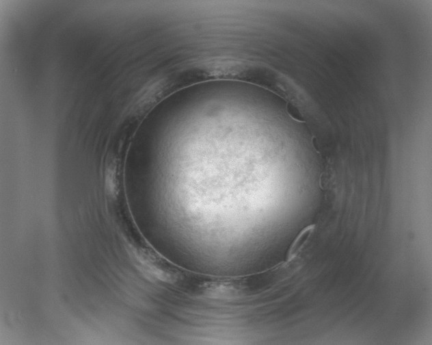 X0000078230074200611101020