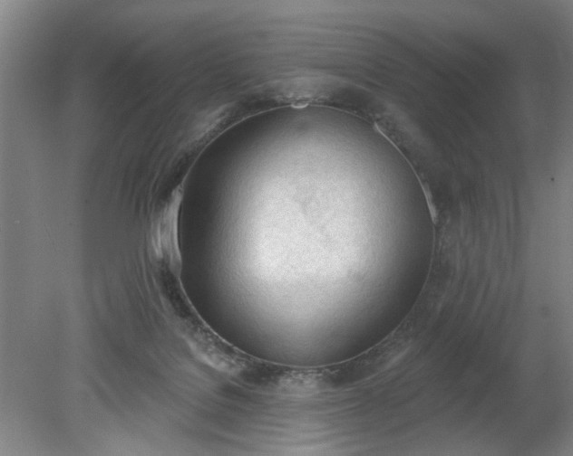 X0000078230076200611101020